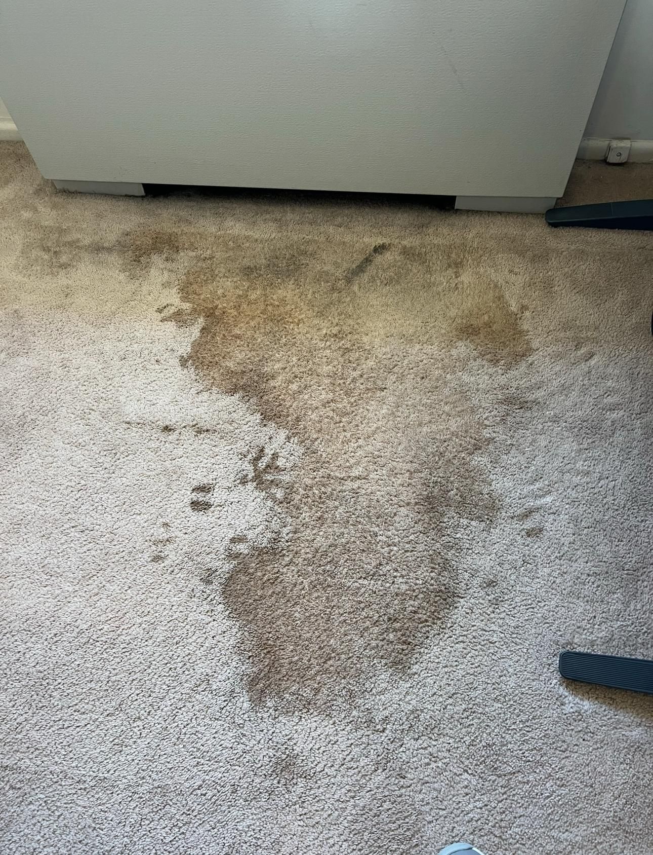 Water-stained carpet with a large brown stain near a white cabinet
