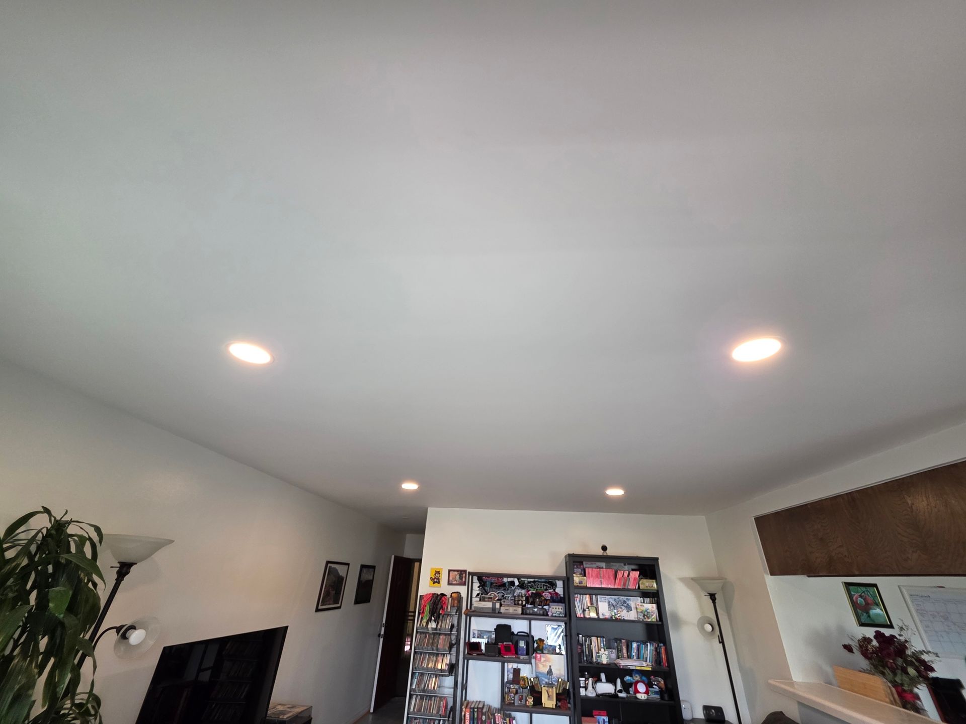 Living room with recessed ceiling lights, TV, shelves, and a tall plant