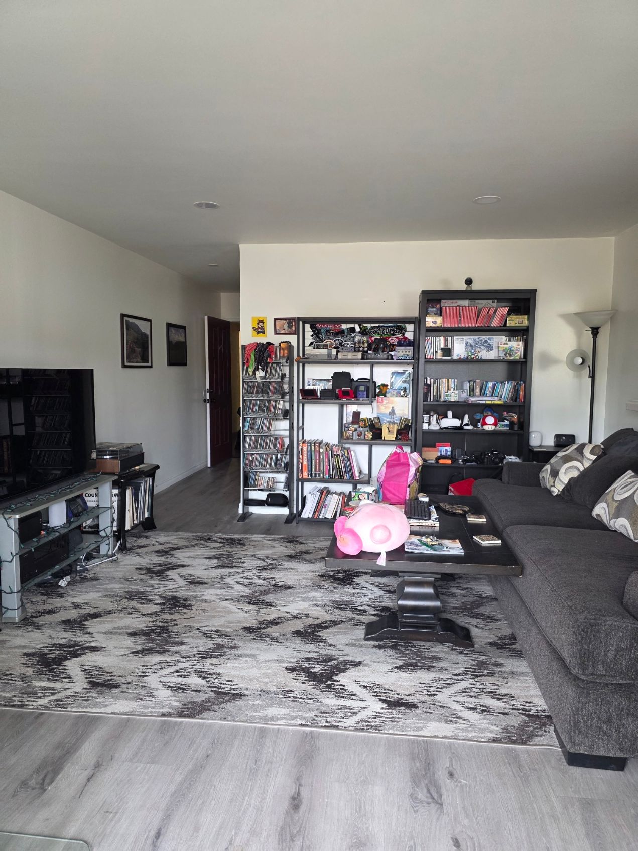 Living room with gray sofa, TV, shelving unit, and a large patterned rug