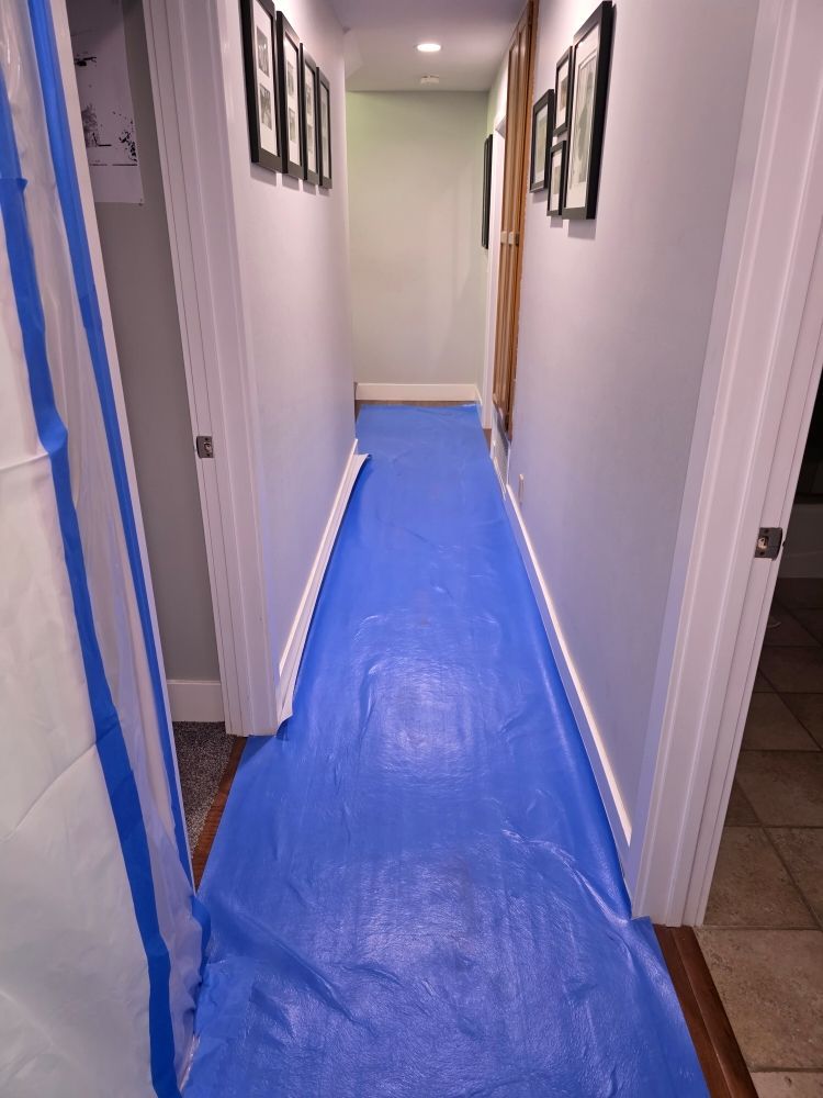 Hallway with blue plastic floor covering and white walls, seen from an open doorway.