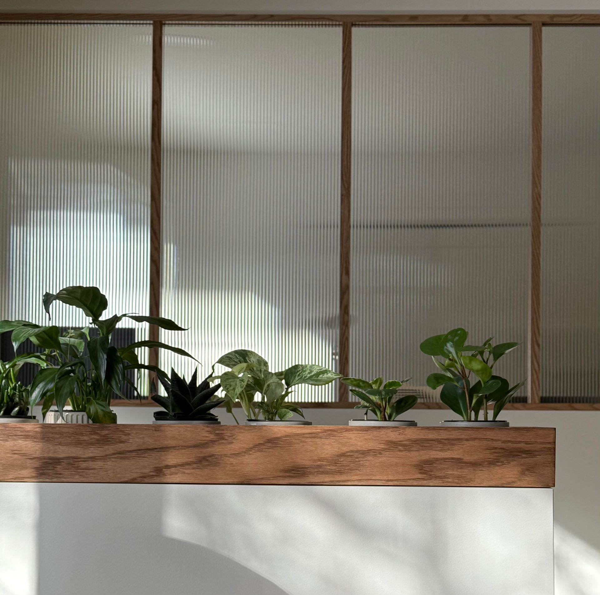 Jardinière en bois avec diverses plantes devant une fenêtre en verre cannelé.