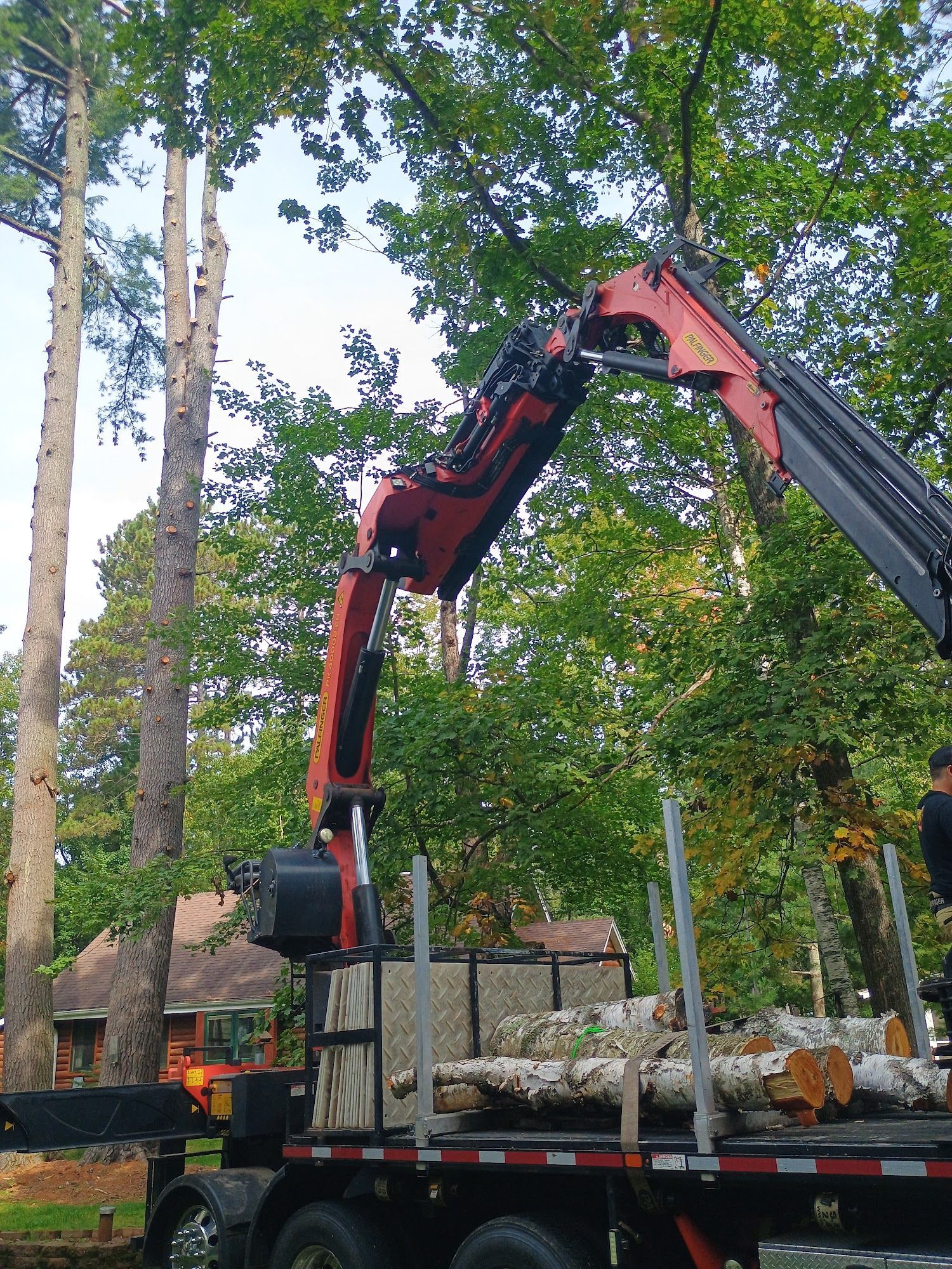 Red crane truck lifting logs in a wooded yard beside tall trees and a cabin