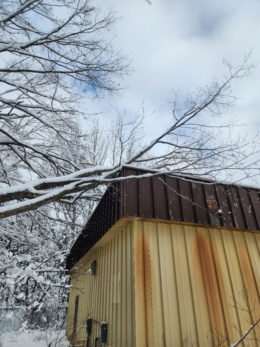 Snow-covered wooden shed under bare tree branches in a winter scene