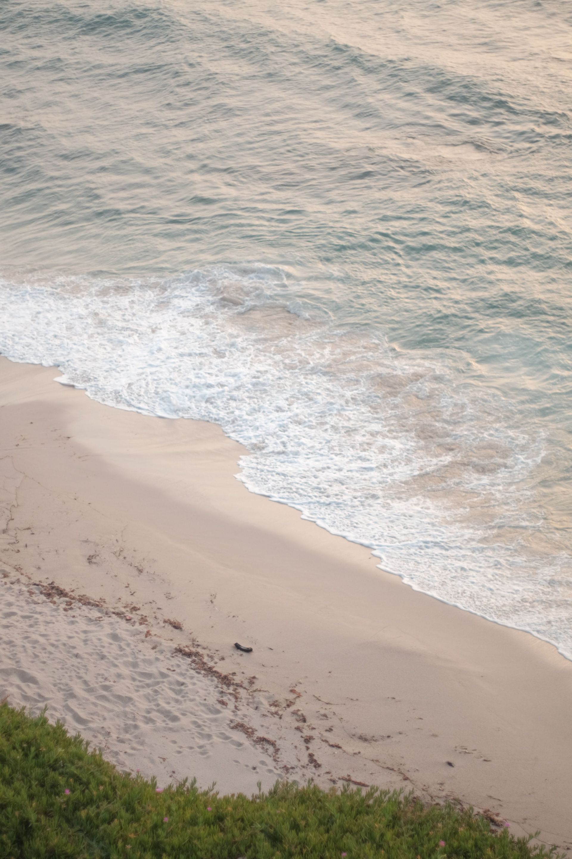 Sandy beach with gentle waves washing ashore beside green vegetation.