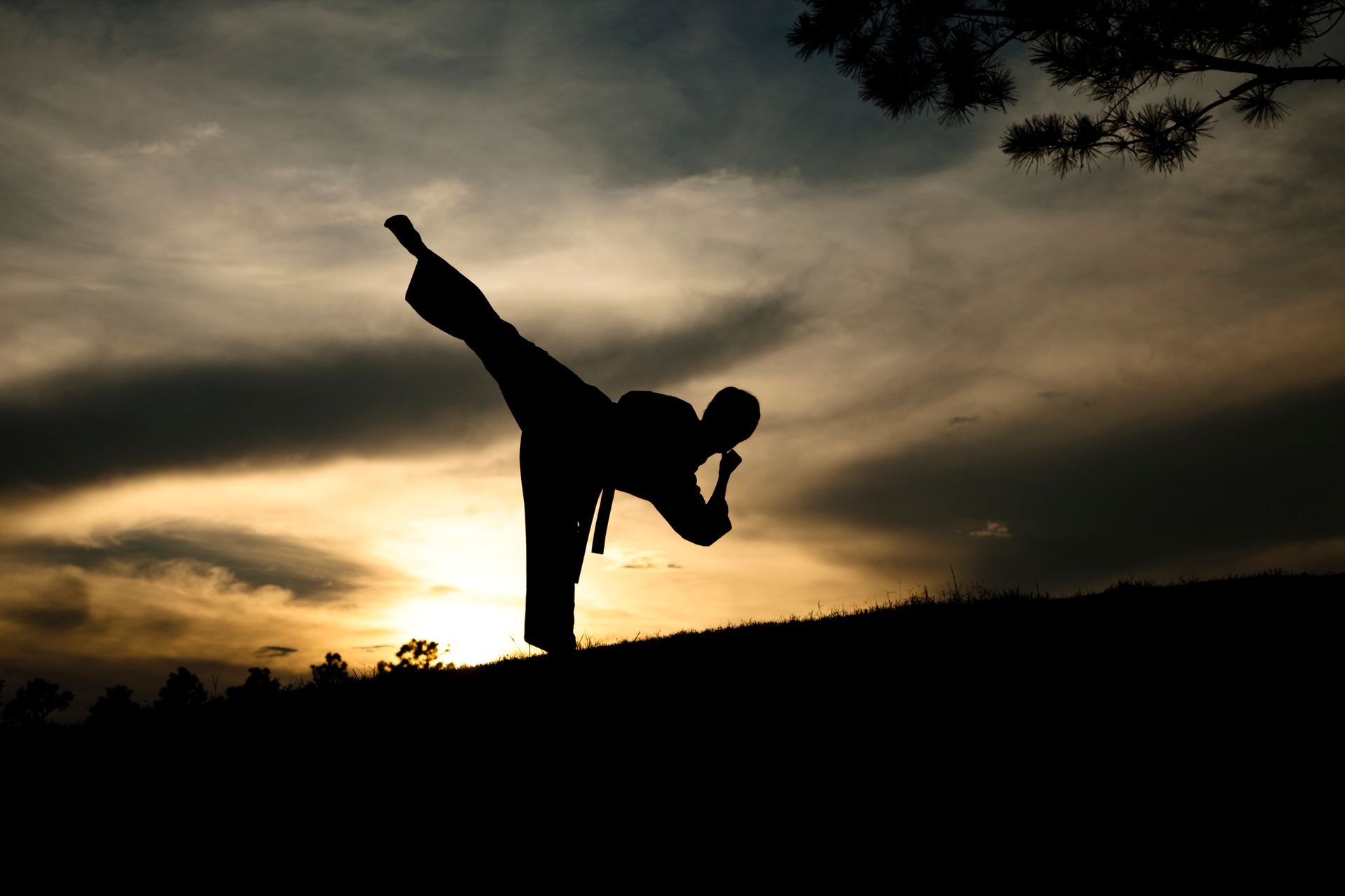 African American Hitt Class — Greensboro, NC — iAlign