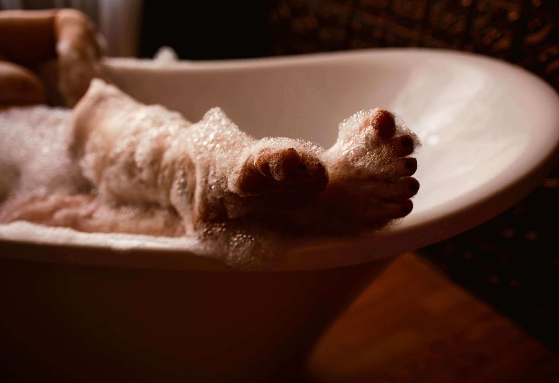 A person is taking a bath with their feet in the bathtub.