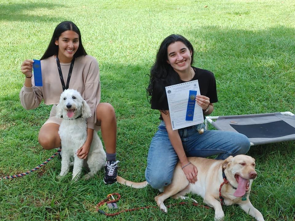 Two women are sitting on the grass with their dogs and holding ribbons.