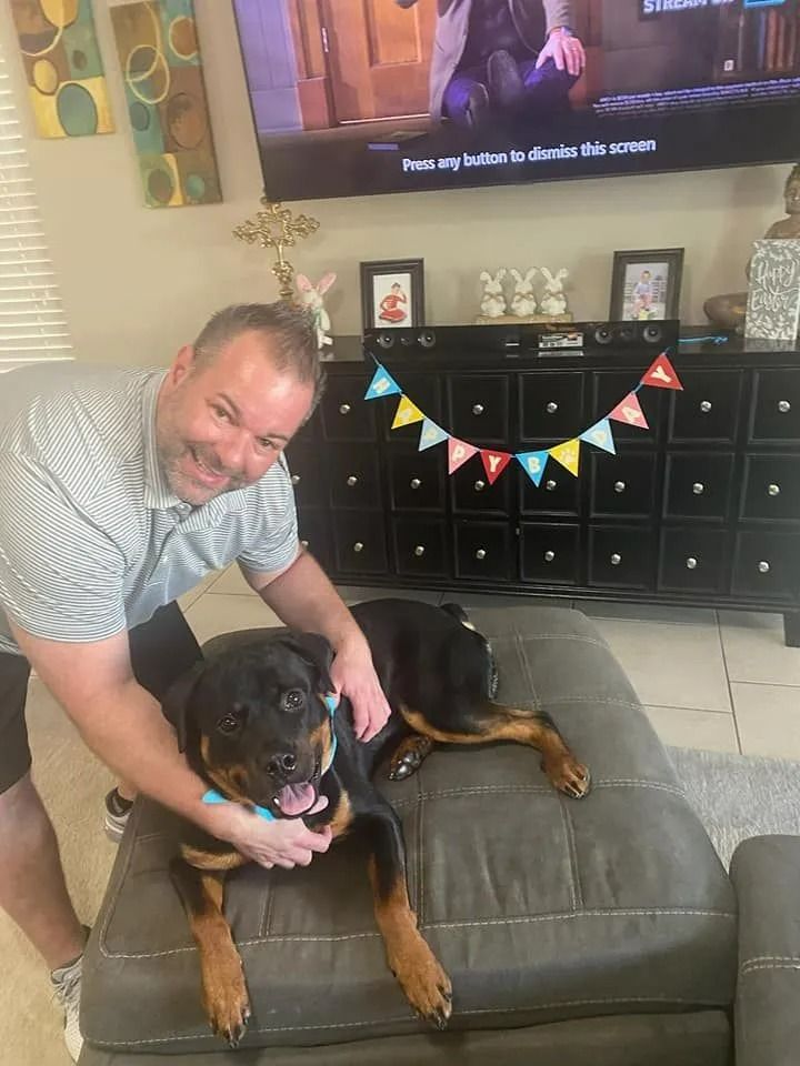 A man is kneeling down next to a dog on an ottoman in a living room.