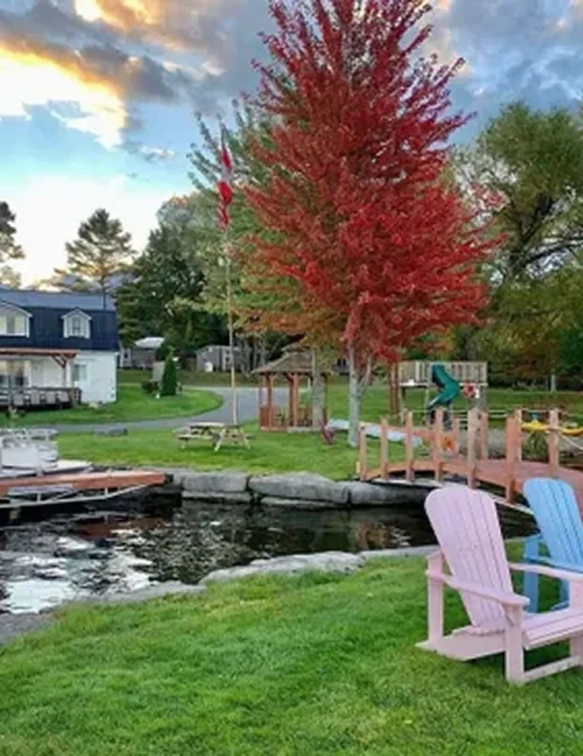 Colorful Adirondack chairs beside a pond with a red tree, green lawn, and houses in the background