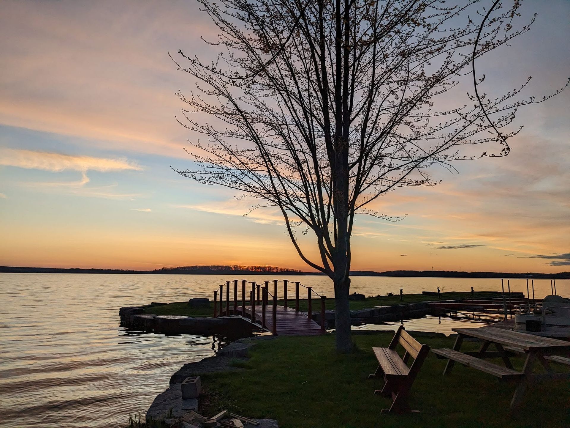 Lakeside dock at sunset with a bare tree and benches by calm water.