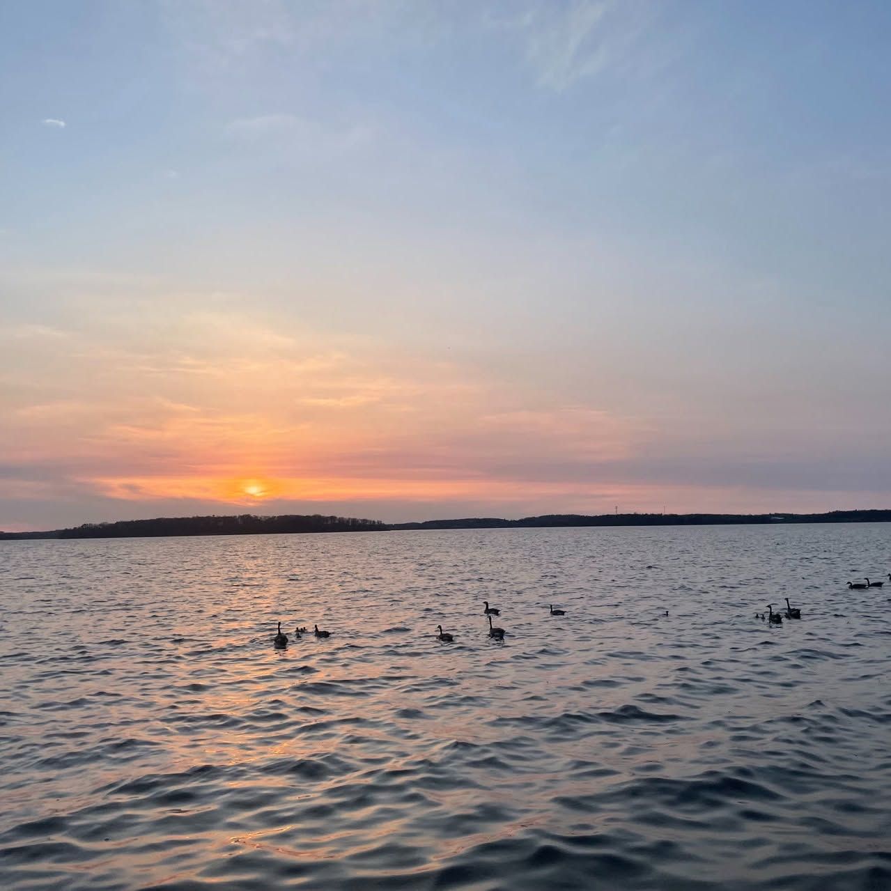 Sunset over a calm sea with birds floating on the water and a small island on the horizon