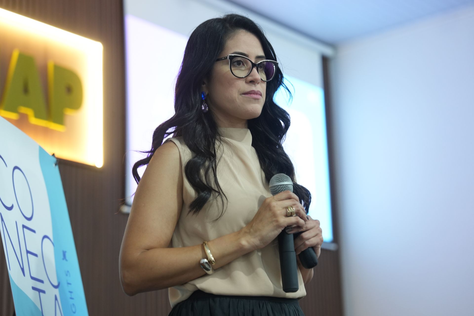 Conecta Insights Porangatu 2025