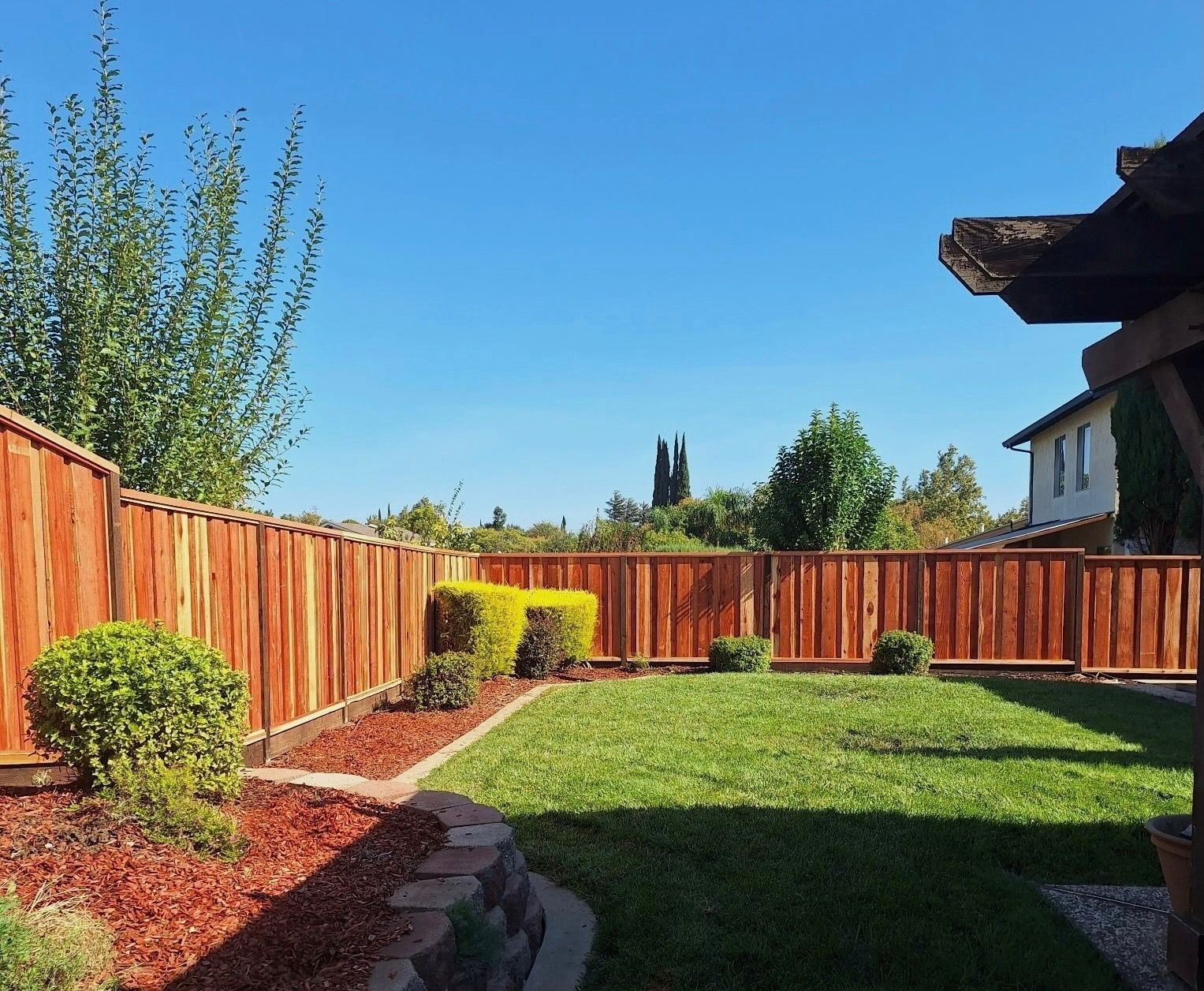 Lawn, fence, bushes and house under a bright blue sky. A well-kept yard.