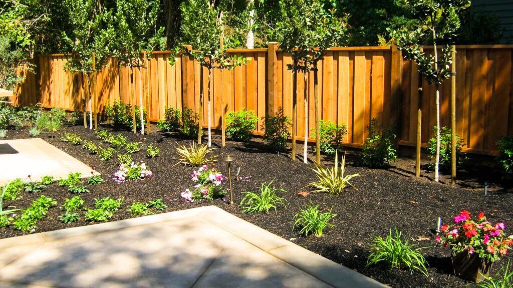 A wooden fence surrounds a lush green garden