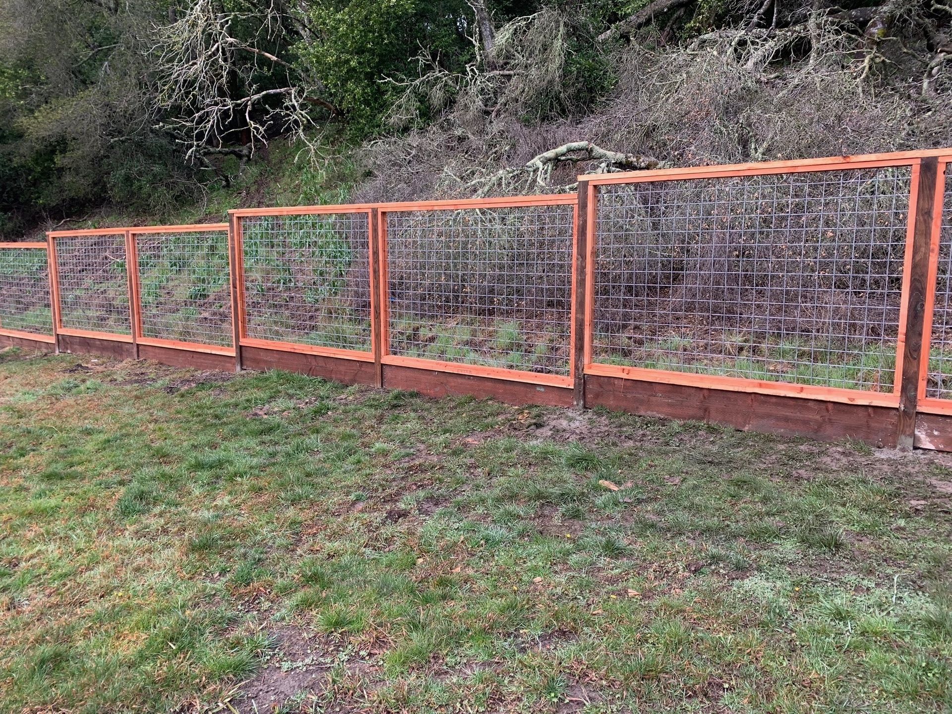 Wooden and wire fence in a grassy area, with trees in the background. The fence has orange-brown frames.