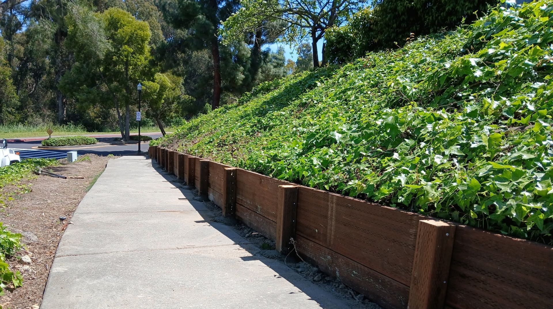 Expert Tips for Wood Retaining Wall Installation Success