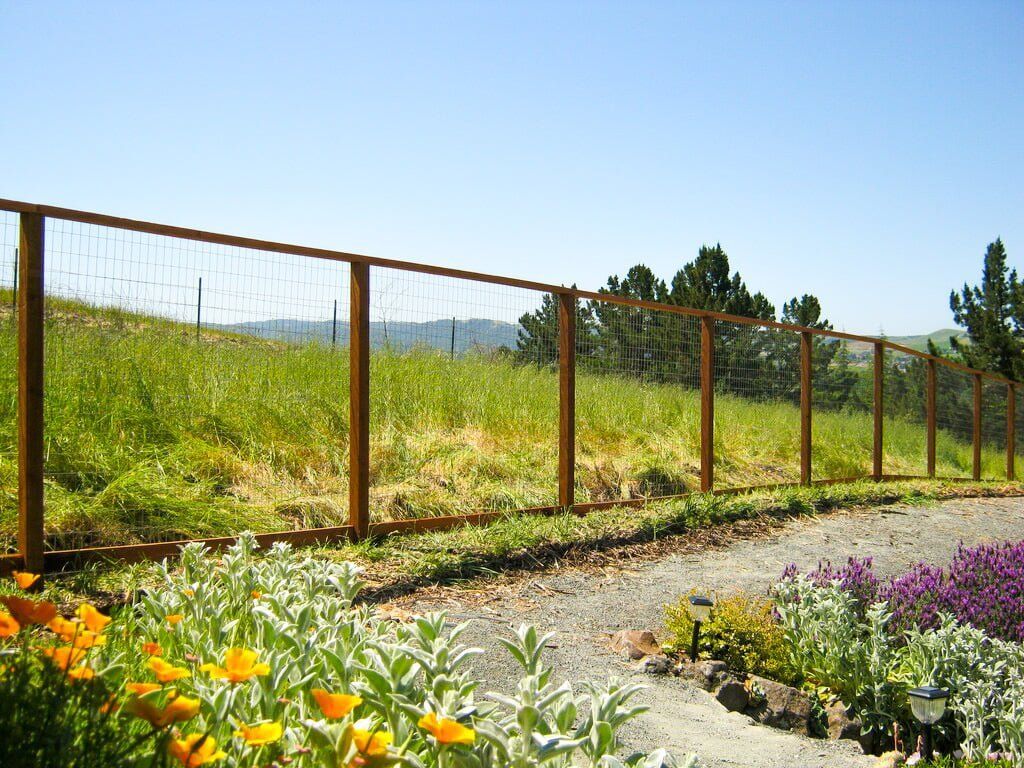 Deer fences