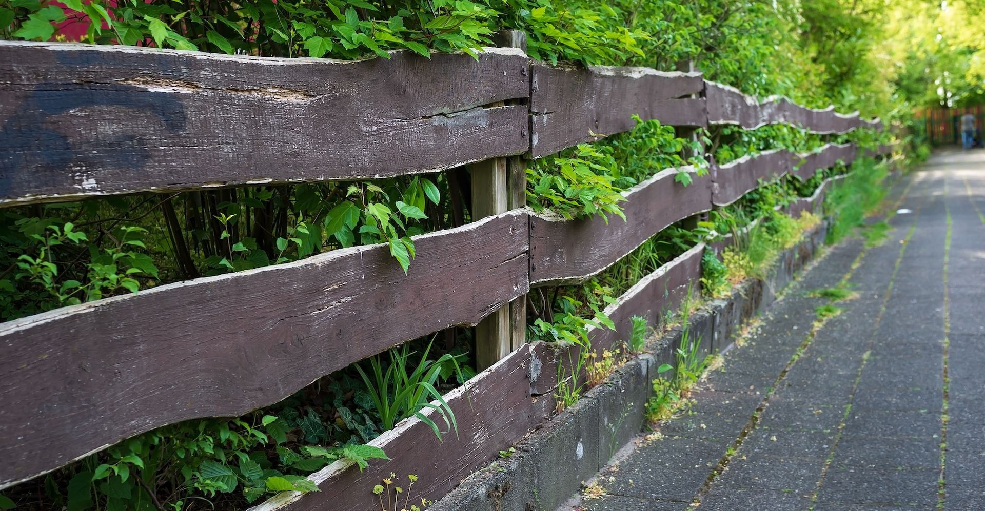 How to Know When It's Time to Replace Your Fence
