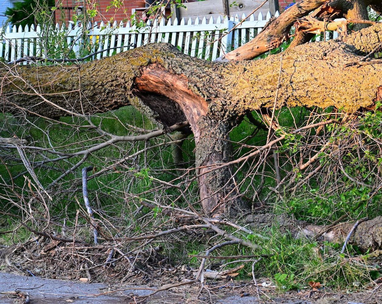 Fence repair Berkeley CA after storm damage