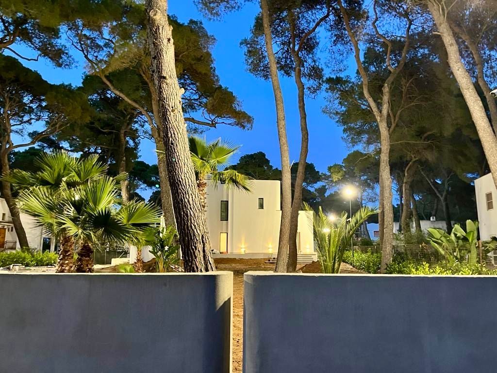 Un edificio bianco illuminato al tramonto, alberi e foglie di palma incorniciano il panorama.