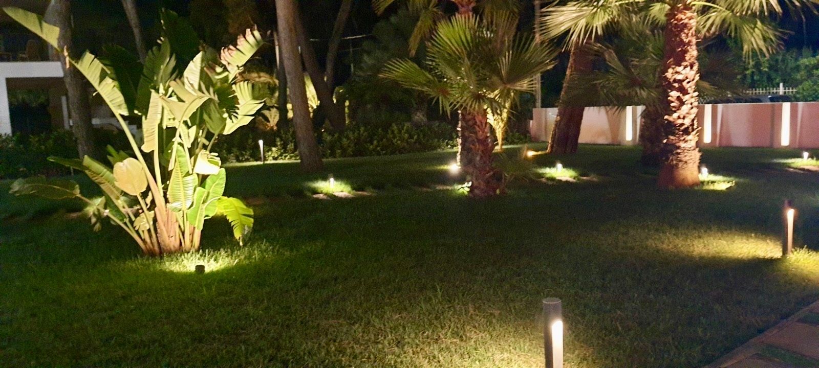 Vista notturna di un prato ben curato con faretti che illuminano palme e altre piante verdi.