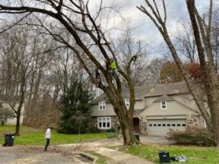 Two people pruning a large tree in front of a two-story house; a person stands on the ground.