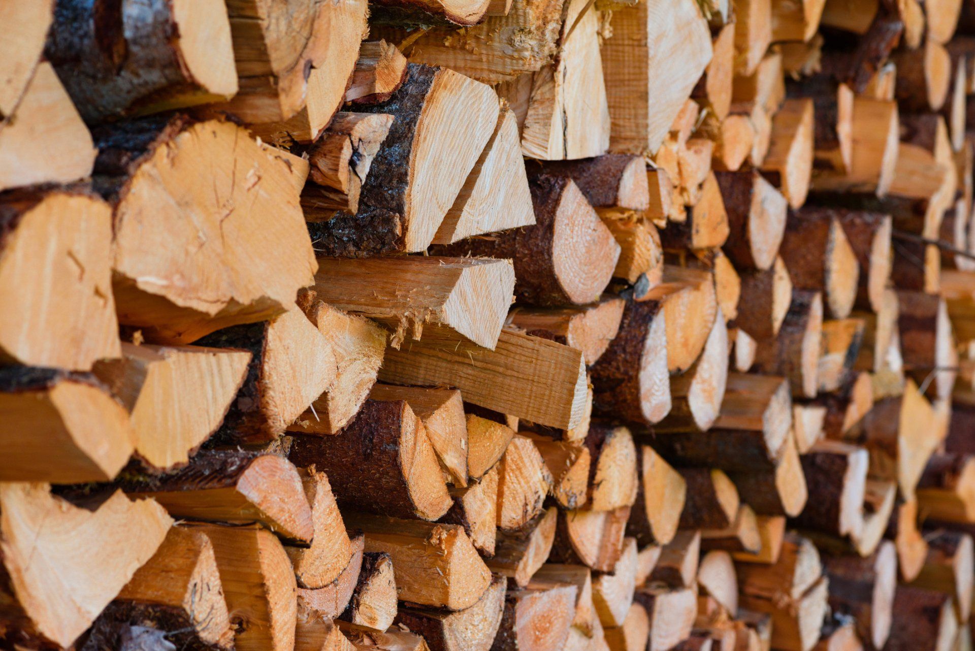 Pile of split firewood, stacked in rows, showing cut ends and bark.
