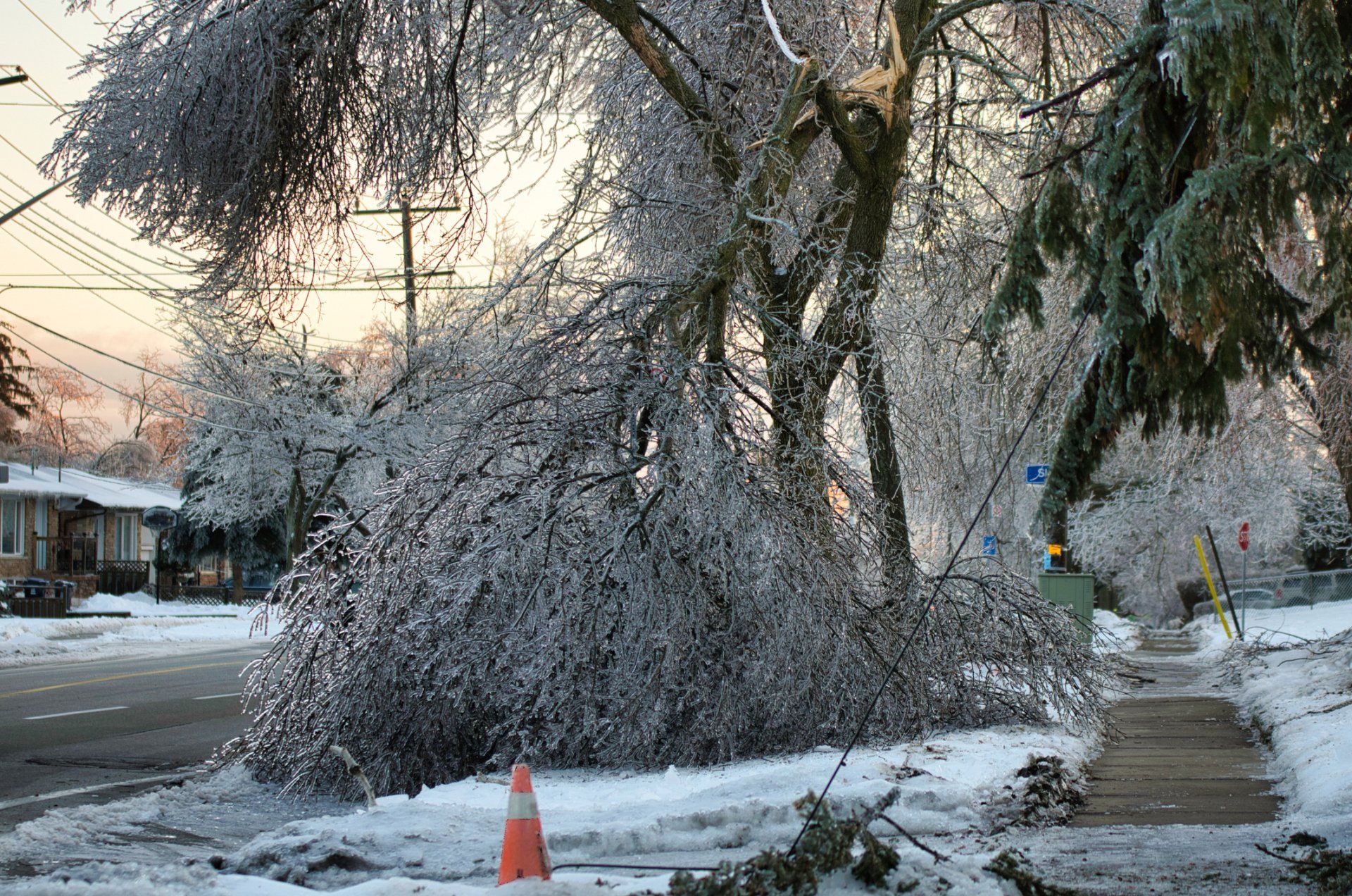 Trees and power lines coated in ice after a winter storm; a downed tree partially blocks a sidewalk and street.