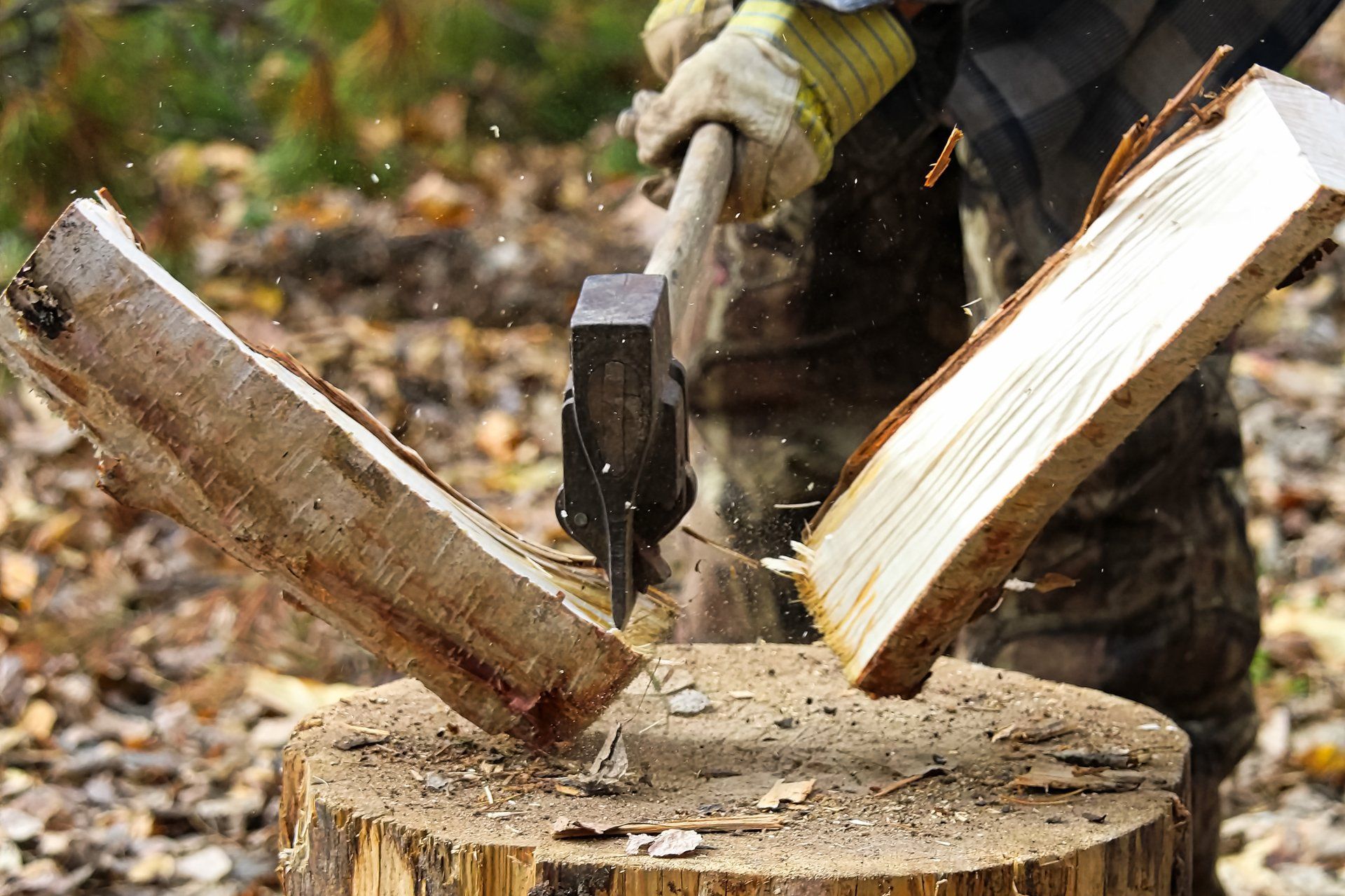 Person splitting wood with an axe outdoors. Wood splits apart as the axe hits.