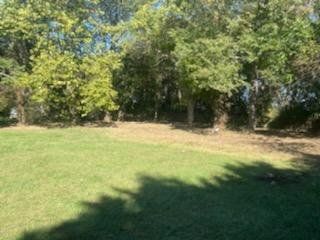 Lush green lawn with trees in the background, casting shadows on the grass on a sunny day.