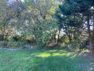 Lush green grass in the foreground with a border of trees and bushes in a natural outdoor setting.