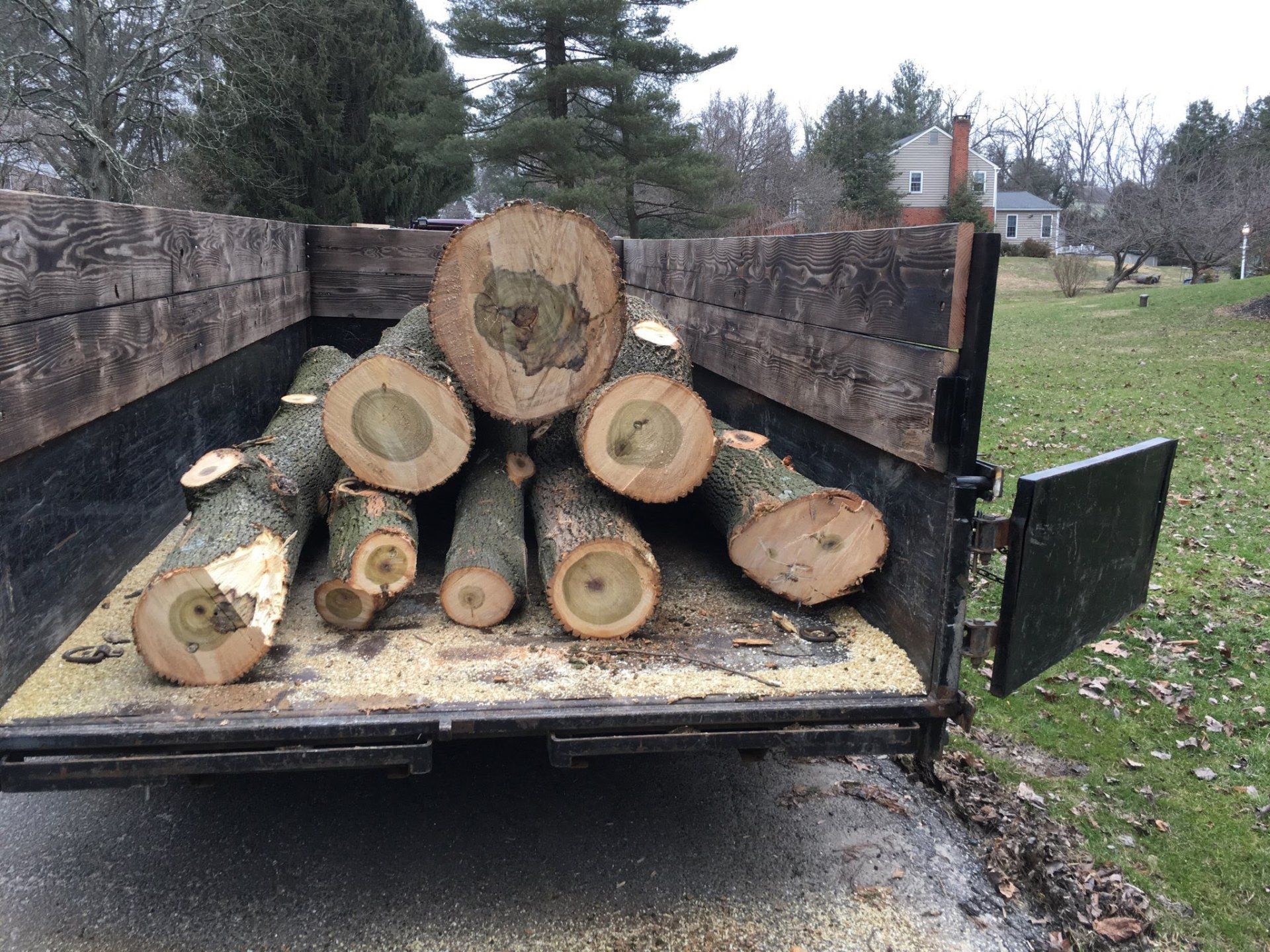 Removed Trees — Newark, DE — C & R Tree Service Removed Trees — Newark, DE — C & R Tree Service