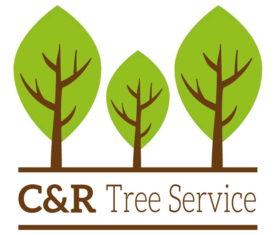 C & R Tree Service C & R Tree Service