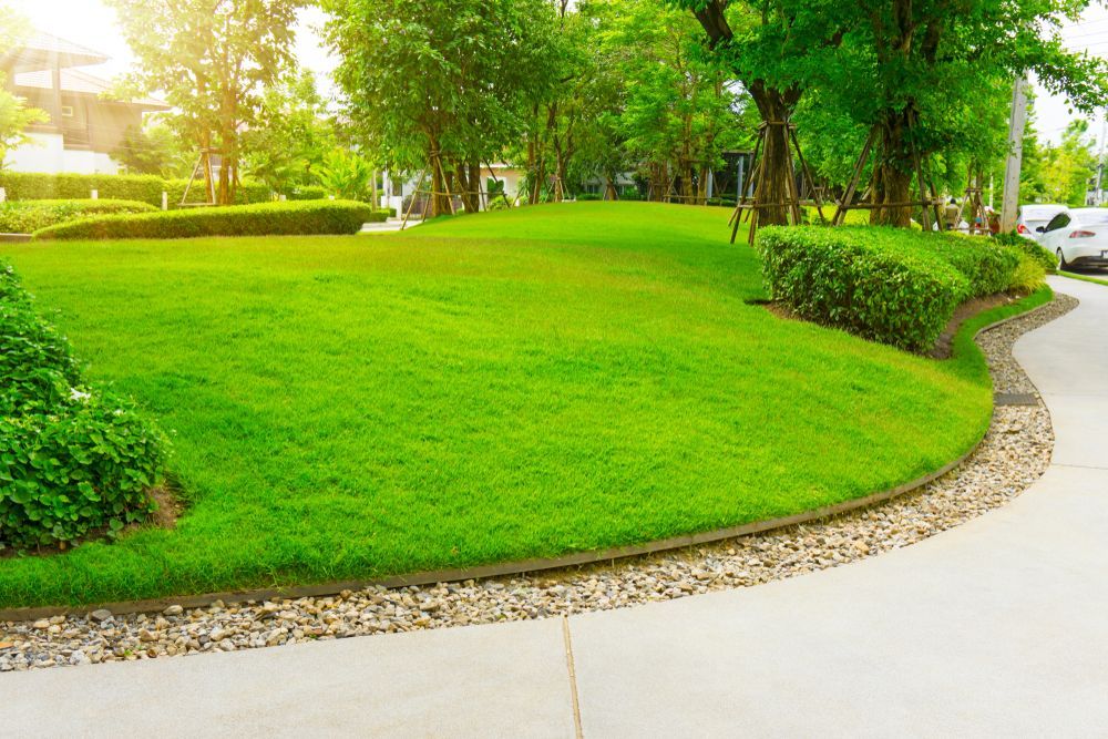 A Lush Green Lawn With Trees and Bushes Along a Sidewalk in a Park — Ballina Turf Farm in Wardell, NSW