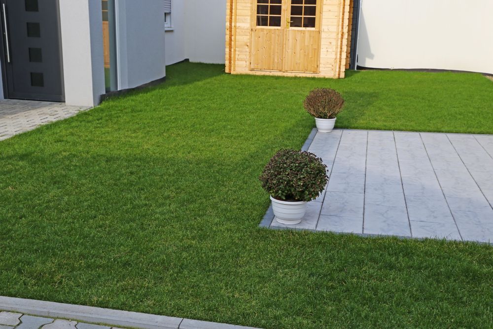 A Lush Green Lawn With a Wooden Shed in the Background — Ballina Turf Farm in Wardell, NSW