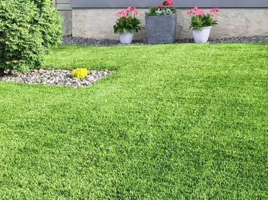 A Green Lawn with A Small Rock Bed — Ballina Turf Farm in Coraki, NSW
