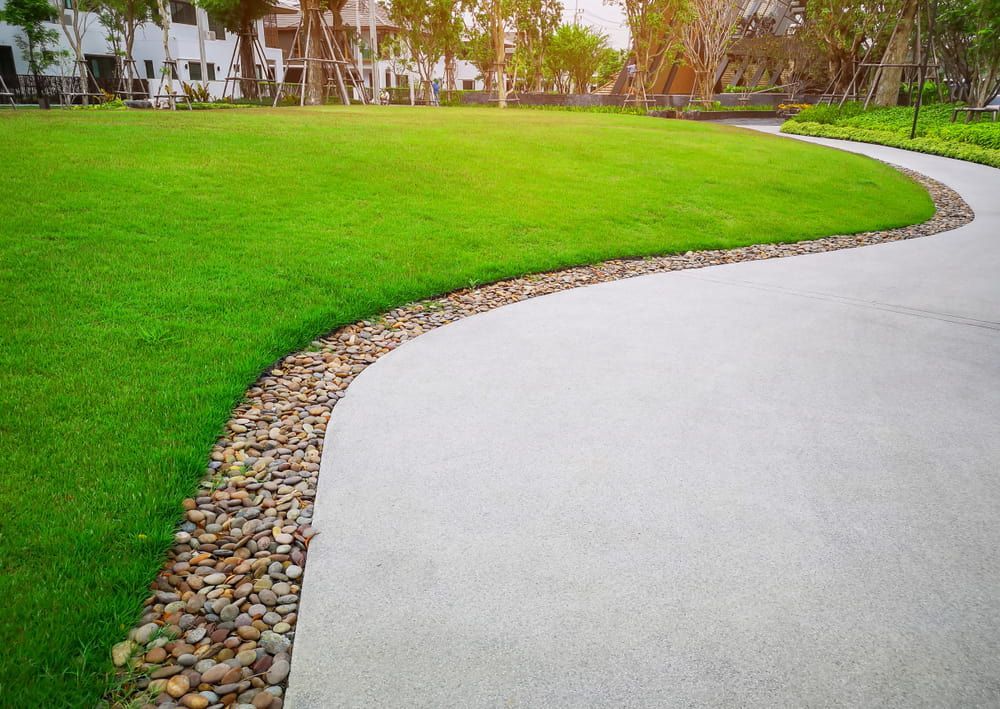 A Curved Concrete Path Separated from A Bright Green Lawn — Ballina Turf Farm in Pottsville, NSW