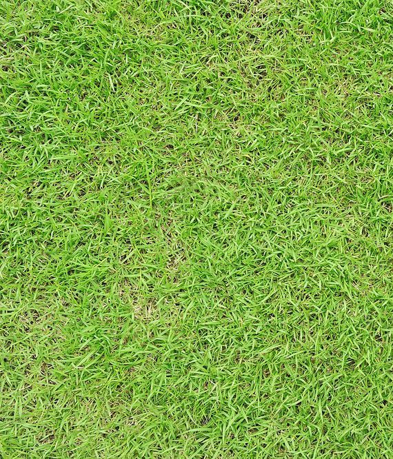 A Detailed View of a Vibrant Green Field Covered in Fresh Grass — Ballina Turf Farm in Northern Rivers, NSW