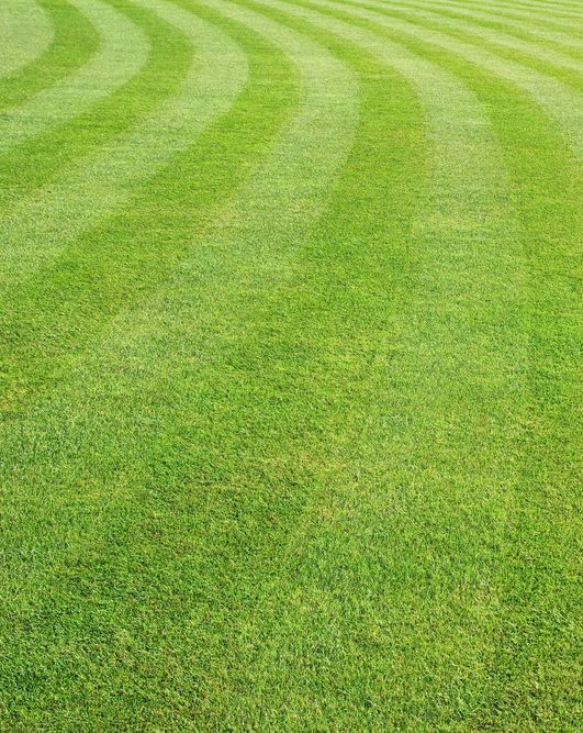 A Vibrant Green Lawn with Curved Alternating Light and Dark Stripes — Ballina Turf Farm in Woodburn, NSW