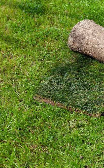 A Roll of Green Grass Sod — Ballina Turf Farm in Kingscliff, NSW