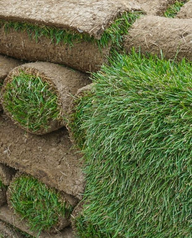 A Pile of Rolls of Turf Sitting on Top of Each Other — Ballina Turf Farm in Kyogle, NSW