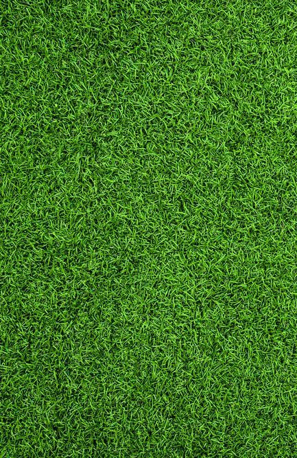 A Focused Image Capturing the Vivid Greenery of a Grassy Expanse — Ballina Turf Farm in Wollongbar, NSW