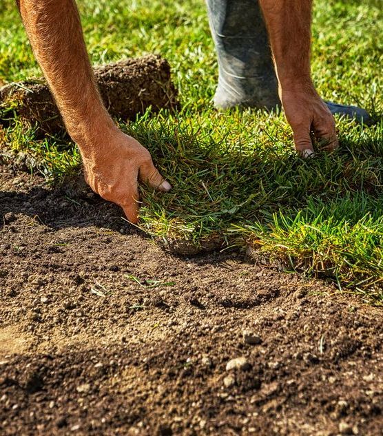 A Person Hands Placing a Piece of Sod onto Freshly Prepared Soil — Ballina Turf Farm in Goonellabah, NSW
