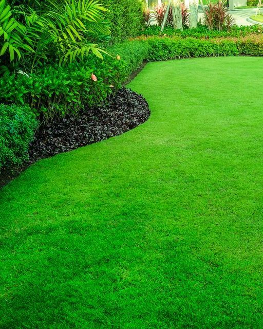 A Vibrant Green Lawn with A Curved Garden Bed of Dark Mulch — Ballina Turf Farm in Grafton, NSW
