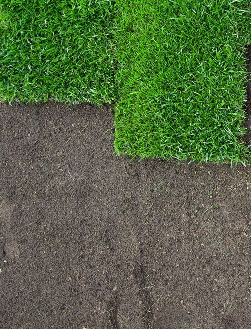 Bright Green Grass Sod Laid out Over a Patch of Dark, Tilled Soil — Ballina Turf Farm in Woodburn, NSW