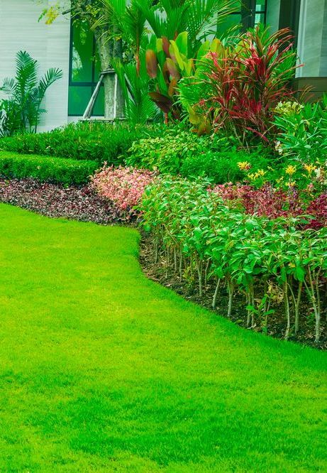 A Lush Green Lawn Bordered by A Landscaped Garden with Trimmed Hedges — Ballina Turf Farm in Murwillumbah, NSW