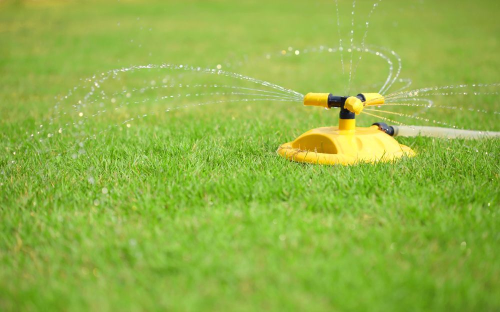 A Yellow Rotary Sprinkler Watering a Lush Green Lawn — Ballina Turf Farm in Coraki, NSW