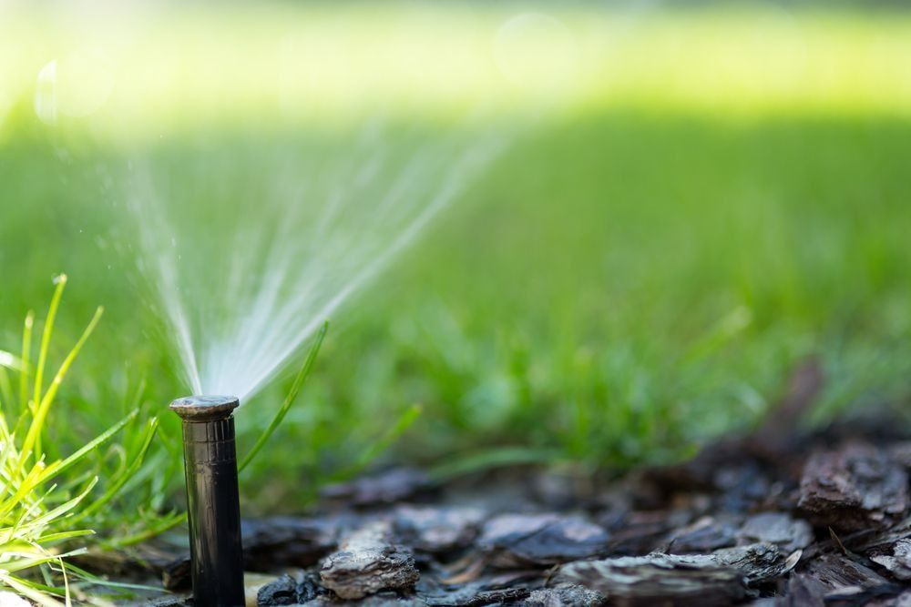 A Black Sprinkler Head Spraying Water Over a Green Lawn with Mulch in The Foreground — Ballina Turf Farm in Coraki, NSW