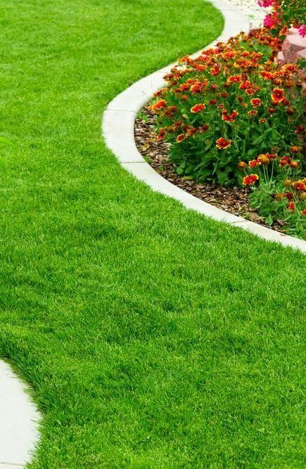 A Lush Green Lawn Curves Alongside a Garden Bed — Ballina Turf Farm in Grafton, NSW