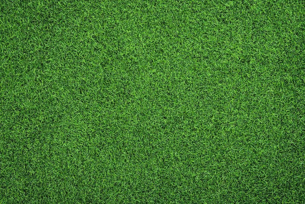 A Uniform Texture of Vibrant Green Artificial Grass Blades — Ballina Turf Farm in Tweed Heads, NSW